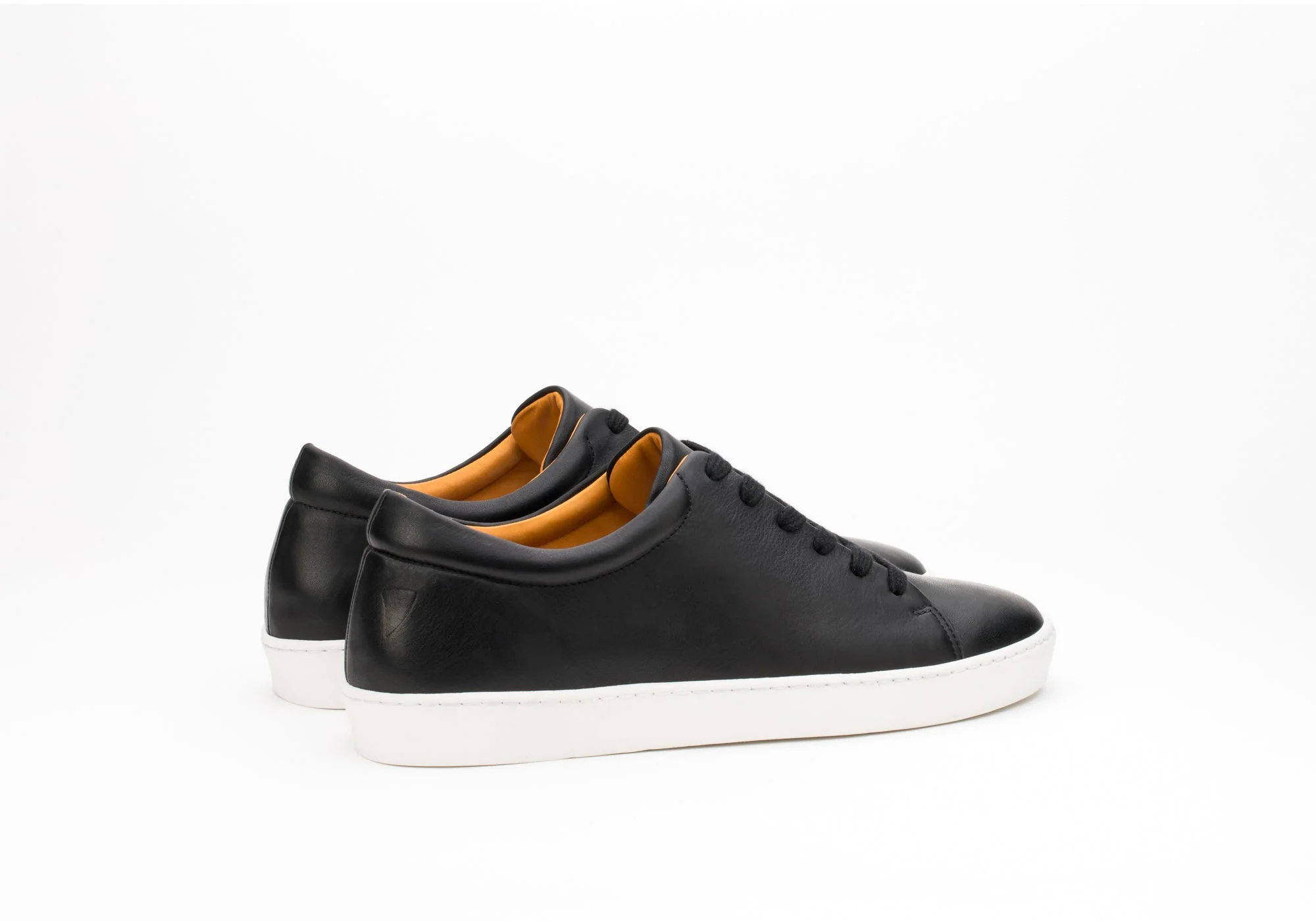 Royal Black V.S. - Image 5