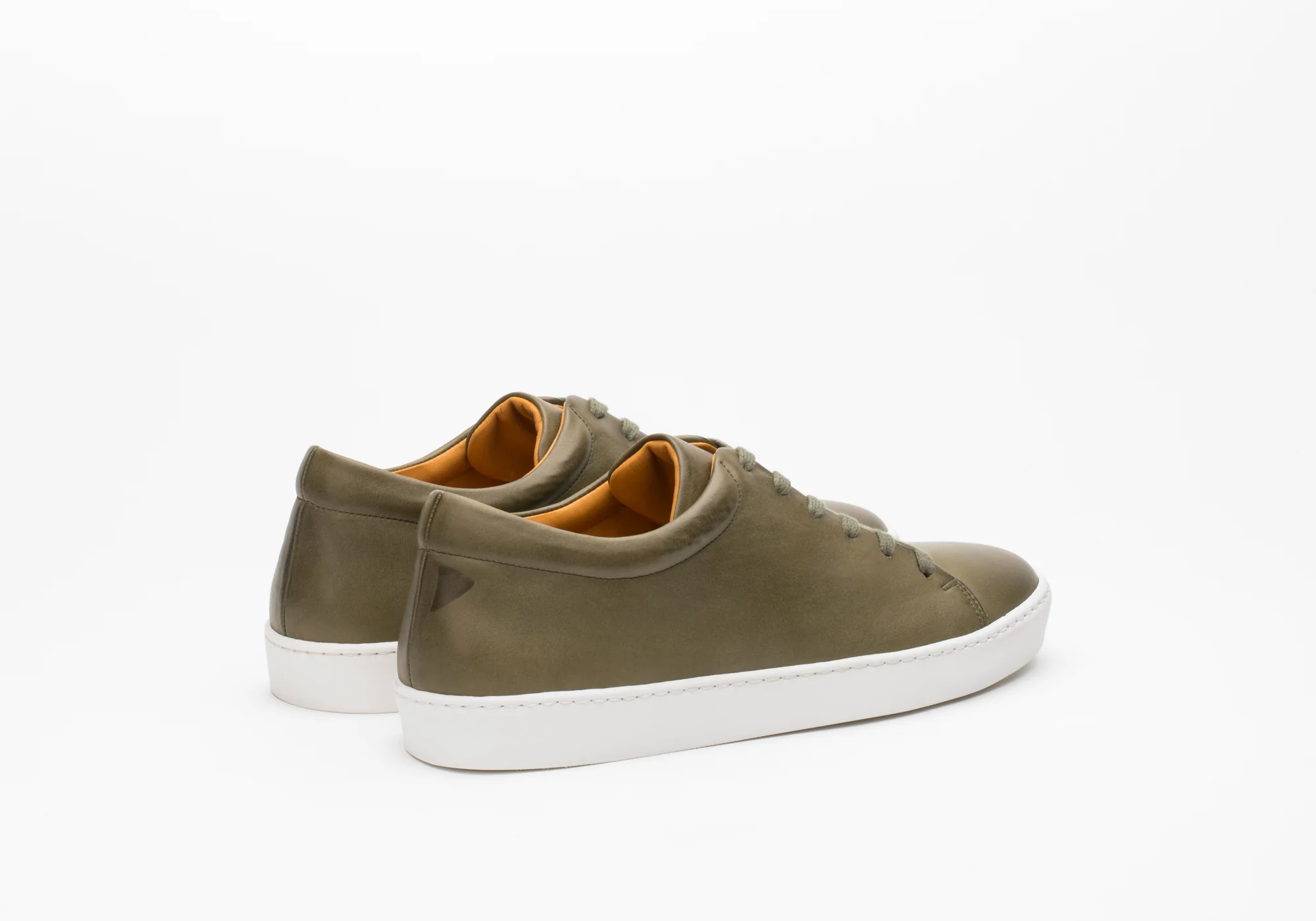 Royal Olive - Image 5