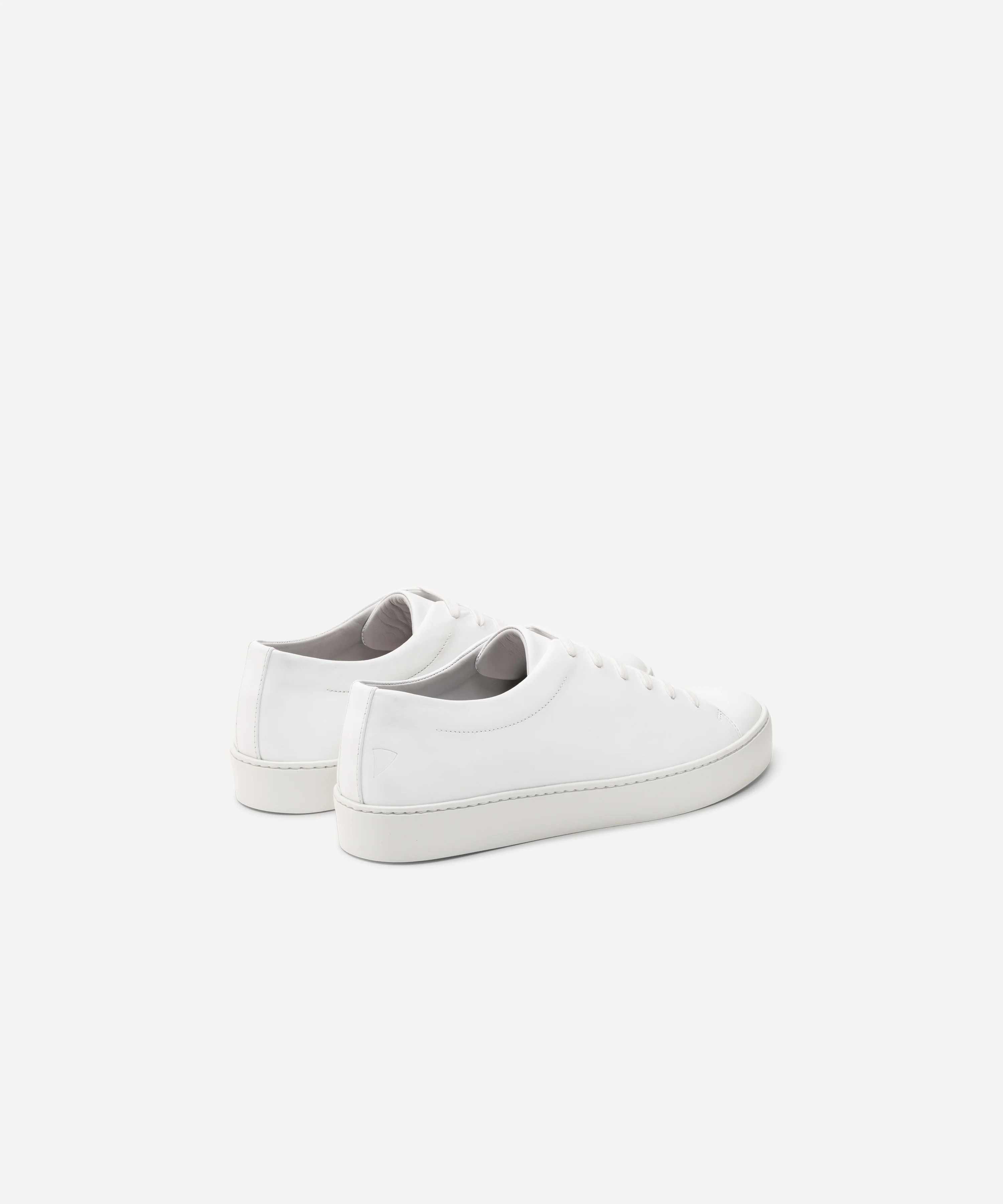 Royal White - Image 5